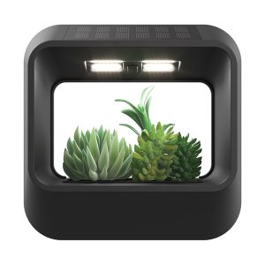 EXC-YR-Z02 Solar Wall Garden Light